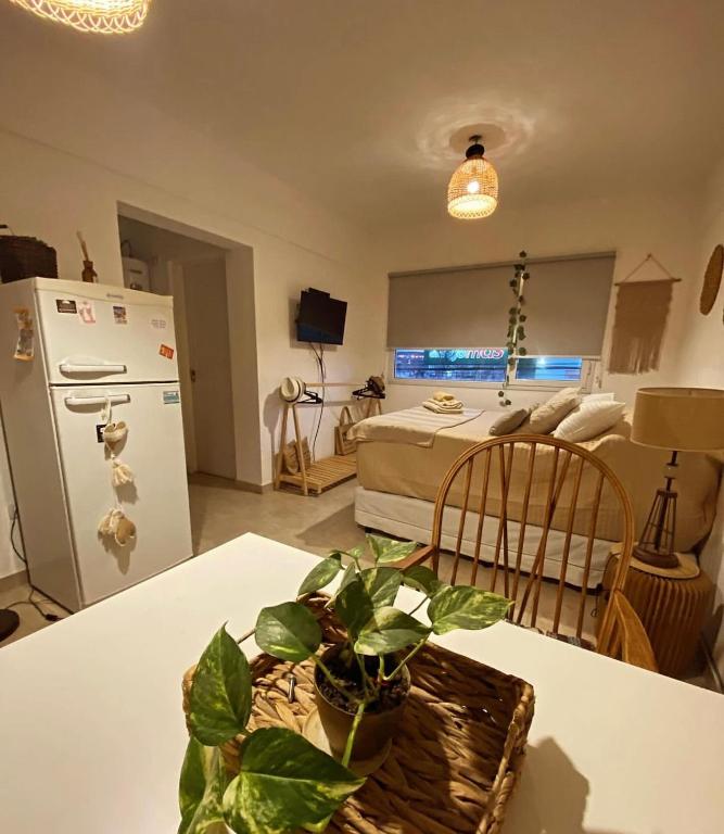 a kitchen with a table with a potted plant on it at La Félicité Alojamiento in Puerto Madryn