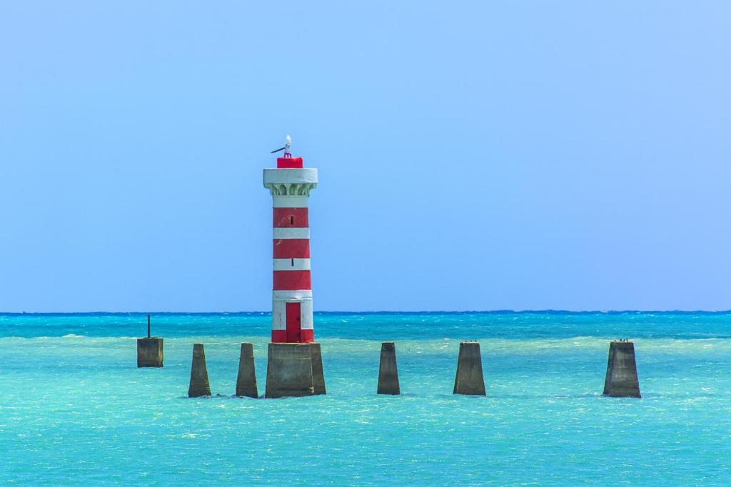 Naturlandskabet i nærheden af lejligheden