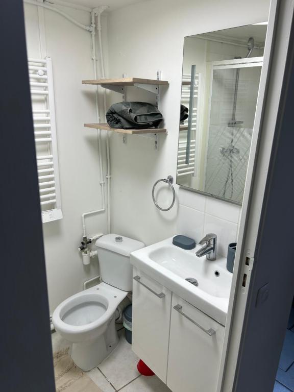 a bathroom with a toilet and a sink and a mirror at Appartement meublé indépendant Parking privé Proche gare & Paris in Mériel