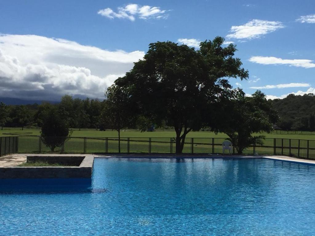 una grande piscina con un albero sullo sfondo di Las Cortaderas House a Trancas