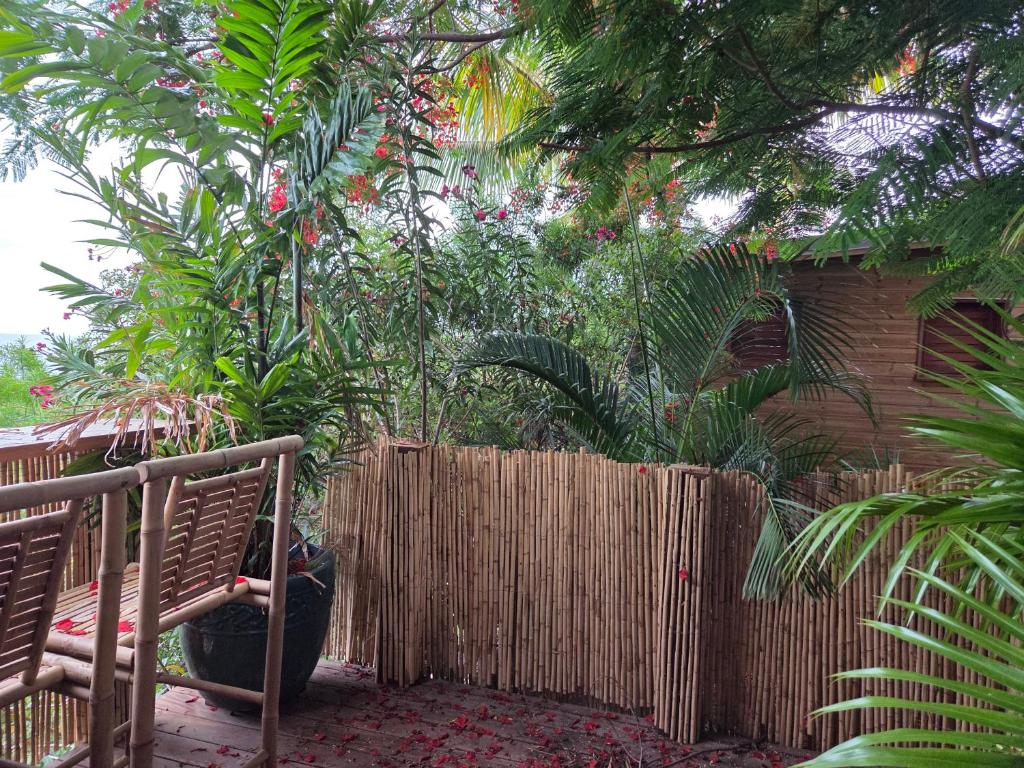 En have udenfor Kaz Bambou