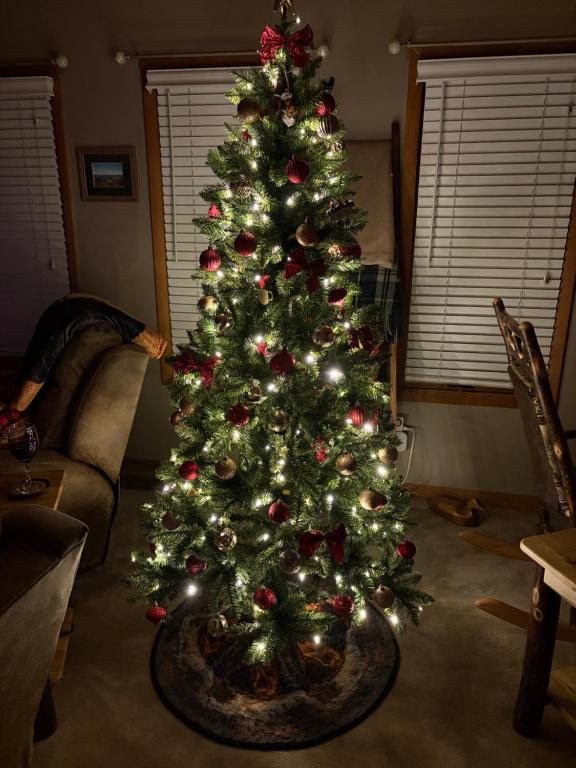 NaplesWoodland Hideaway的客厅里装饰着圣诞树的