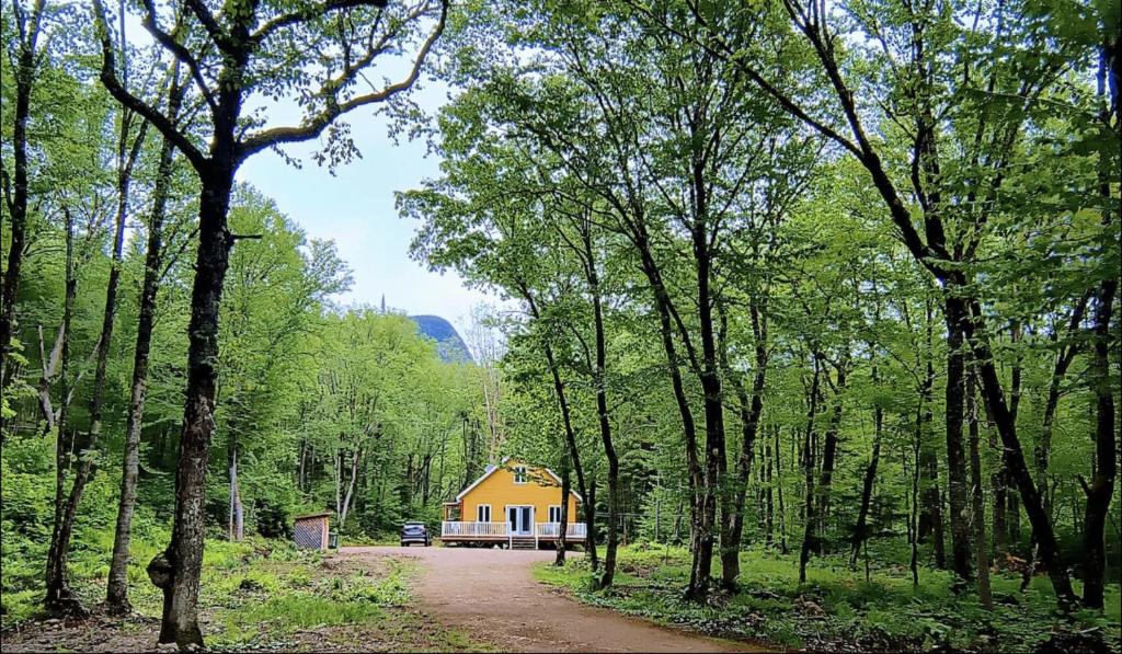 a yellow house in the middle of a forest at Chalet de la Roche Plate in Saint-Raymond