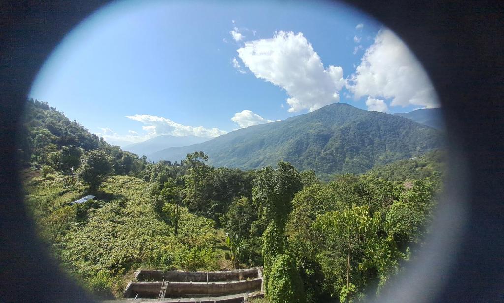 Příroda nedaleko ubytování v soukromí