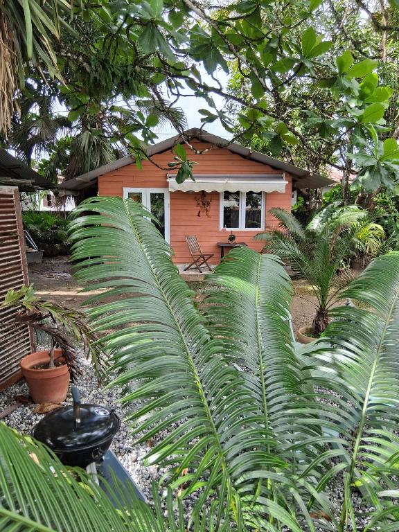 Jardí fora de Fredic'lodge