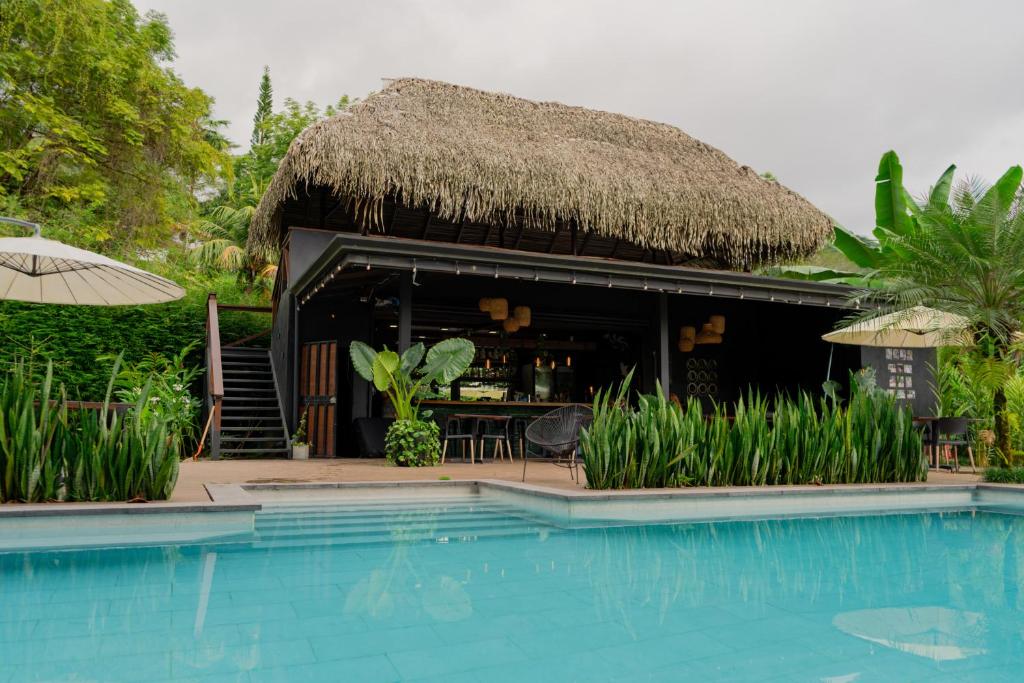 Hồ bơi trong/gần Jungle River Resort