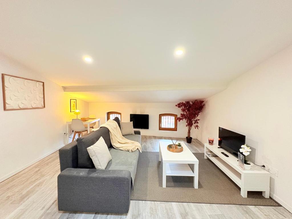 TV a/nebo společenská místnost v ubytování Le Refuge du Midi