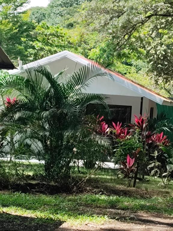 a house with a palm tree in front of it at Cabañas Mantas in Tárcoles
