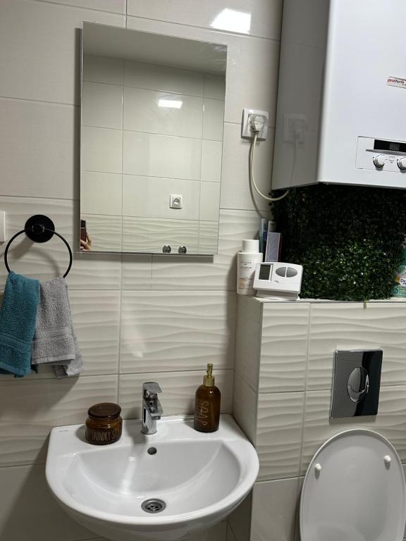 a bathroom with a sink and a mirror and a toilet at Cetral032 in Čačak