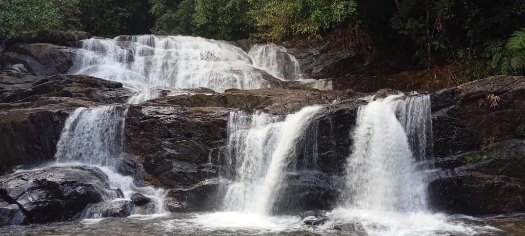 Φυσικό τοπίο κοντά σε αυτό το καταφύγιο