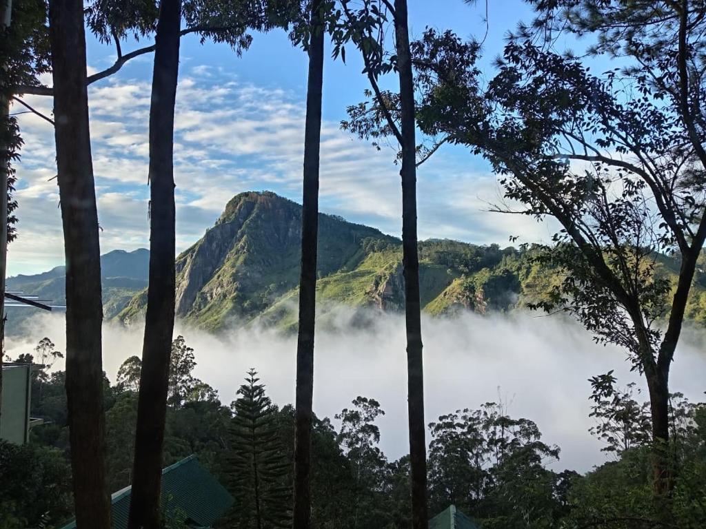 a view of the mountains through the trees at Auraya Ella in Ella