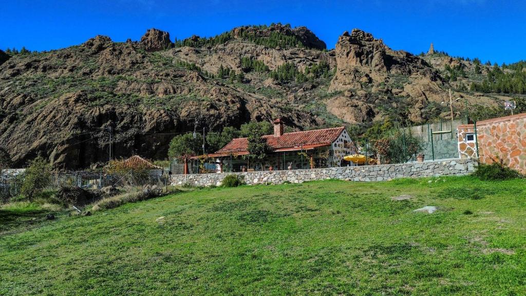 Naturlandskabet i nærheden af feriehuset
