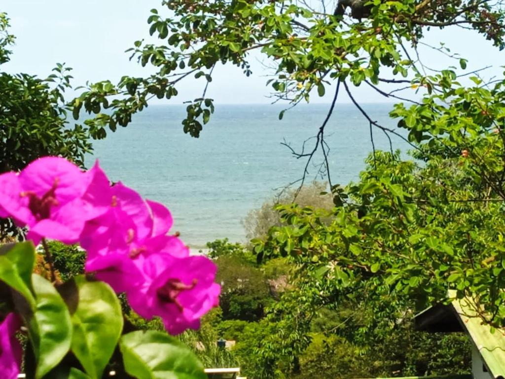 Naturlandskabet i nærheden af feriehuset