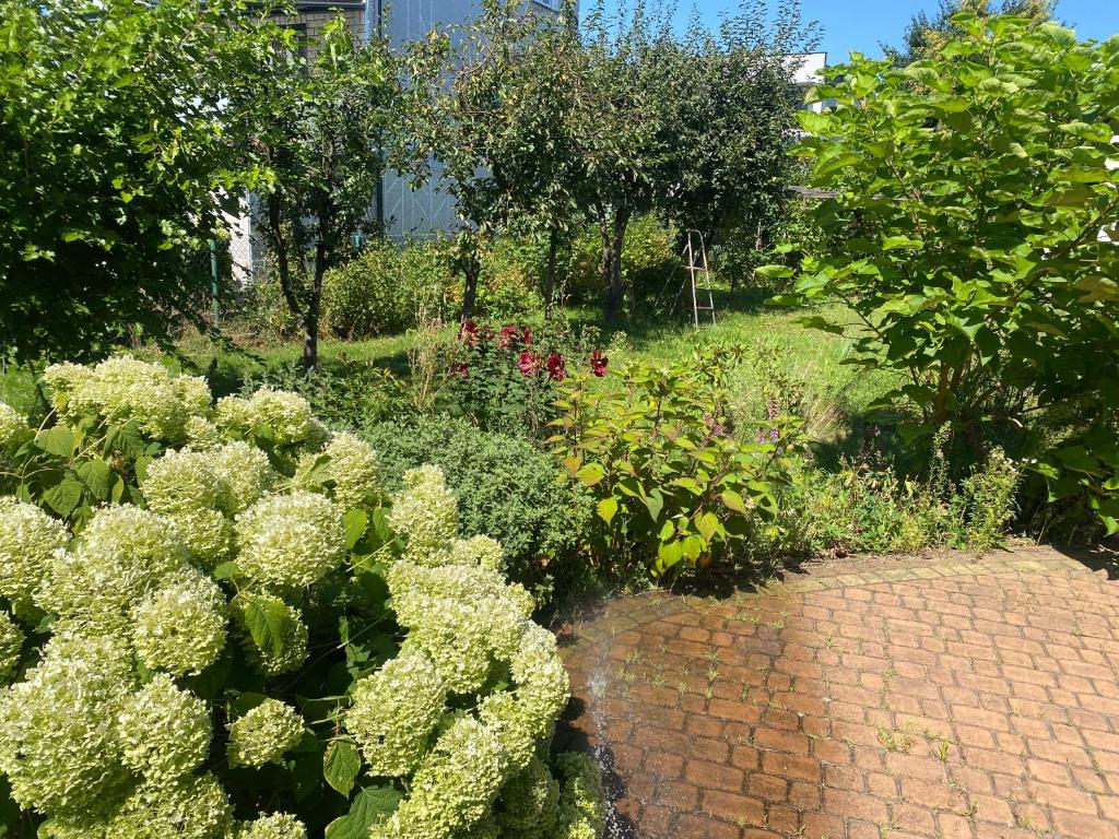 ein Garten mit Blumen und Pflanzen auf einem Ziegelweg in der Unterkunft Dom pod lasem in Mielec