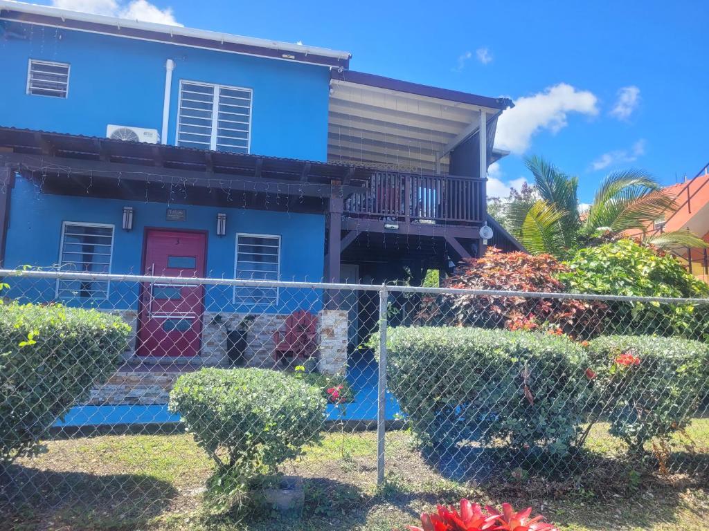 Fotografie z fotogalerie ubytování Silverbuttons Apartments & Eats v destinaci Saint Johnʼs