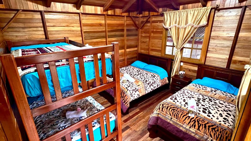 two bunk beds in a room with wooden walls at Paraiso Orquideario in Baños