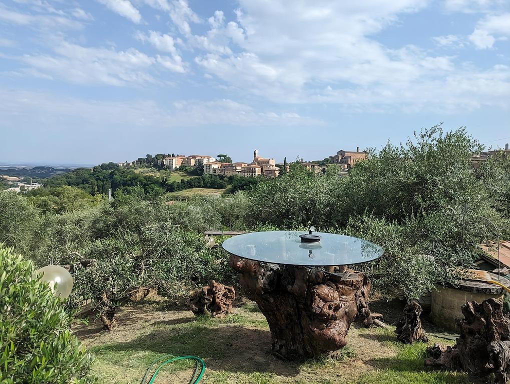 Naturlandskabet i nærheden af den private indkvartering