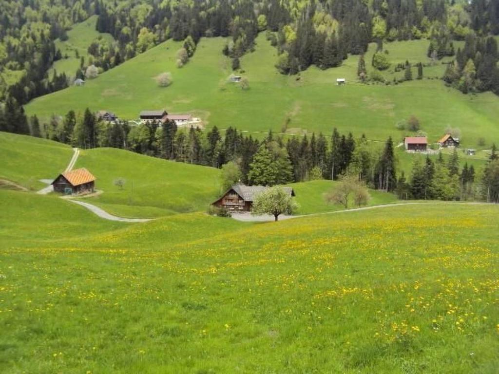 una collina verde con case e un campo di fiori di Bräkerhaus Toggenburg a Lichtensteig