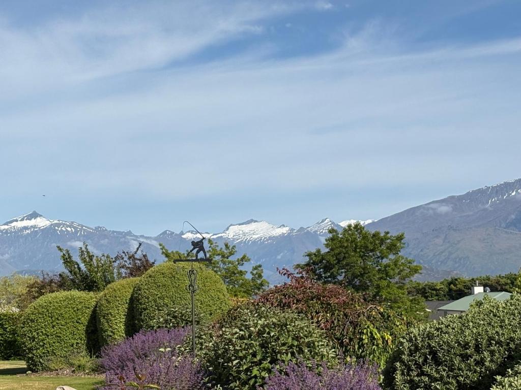 Naturlandskabet i nærheden af lejligheden