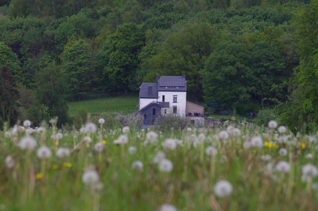 a house in the middle of a field of flowers at L'Autre Temps in Léglise