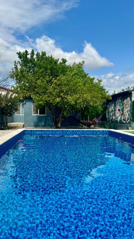 a blue swimming pool with a tree in the background at Holiday house Tbilisi in Tbilisi City