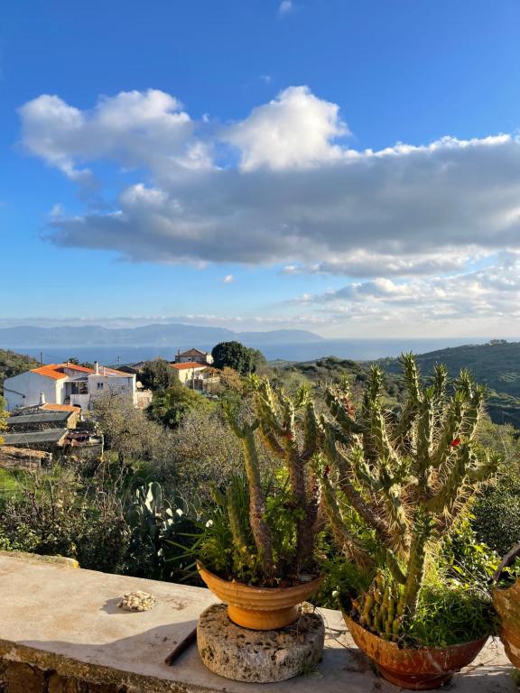 Naturlandskabet i nærheden af den private indkvartering