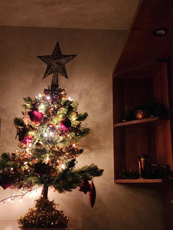 Billede fra billedgalleriet på Il Glicine di Marco Polo i Cavallino-Treporti