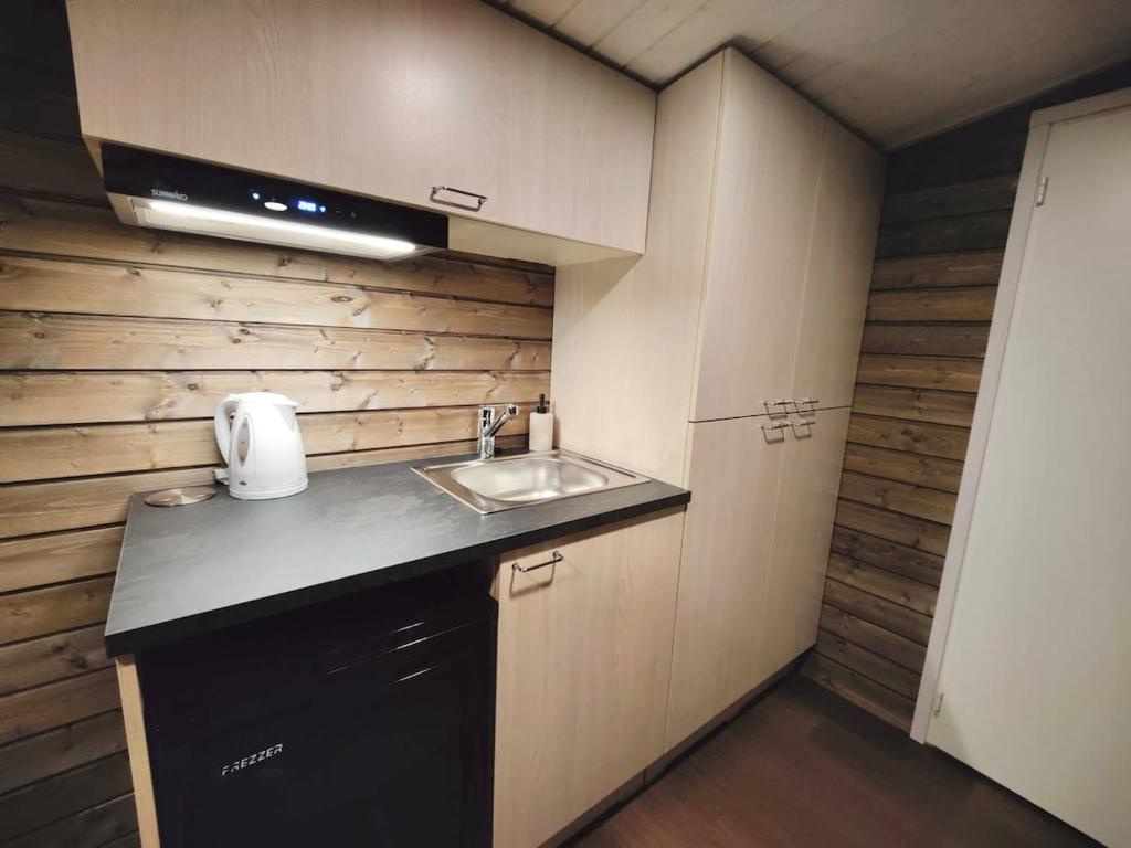 een kleine keuken met een spoelbak en een aanrecht bij The Little Owls Nest in Rovaniemi