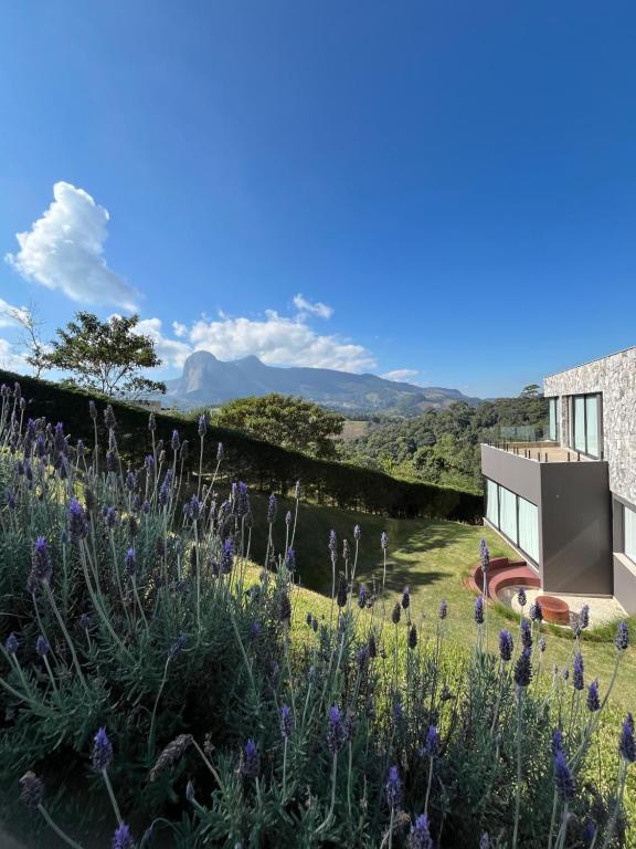 Naturlandskabet i nærheden af feriehuset