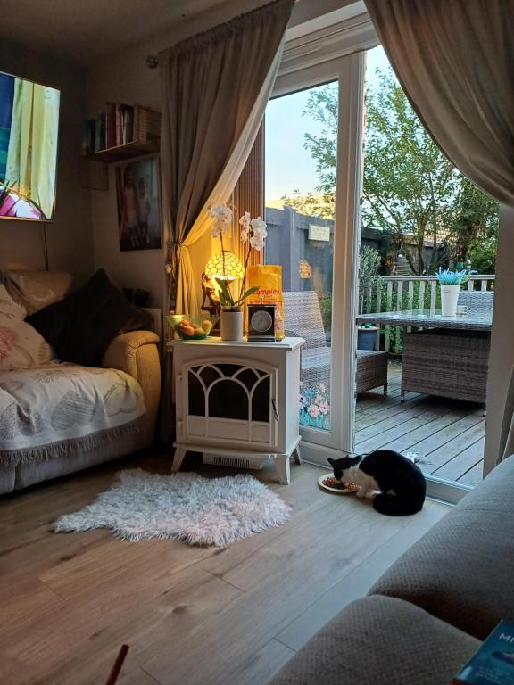 a cat laying on the floor in a living room at The haven in Birkenhead