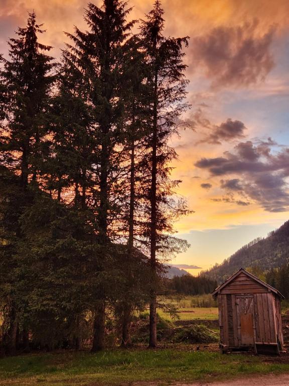 een boom en een schuur in een veld bij zonsondergang bij 1st Chair Mountain Resort in Nelson