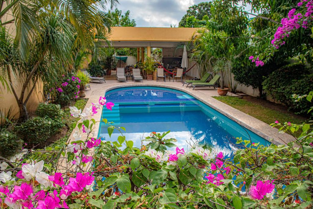 埃斯孔迪多港Hotel Zandoyo Bed & Breakfast的花园里的游泳池,花粉色