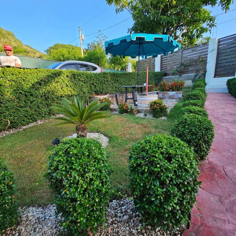 een tuin met struiken en een parasol bij Villa Monte Alba in San Felipe de Puerto Plata
