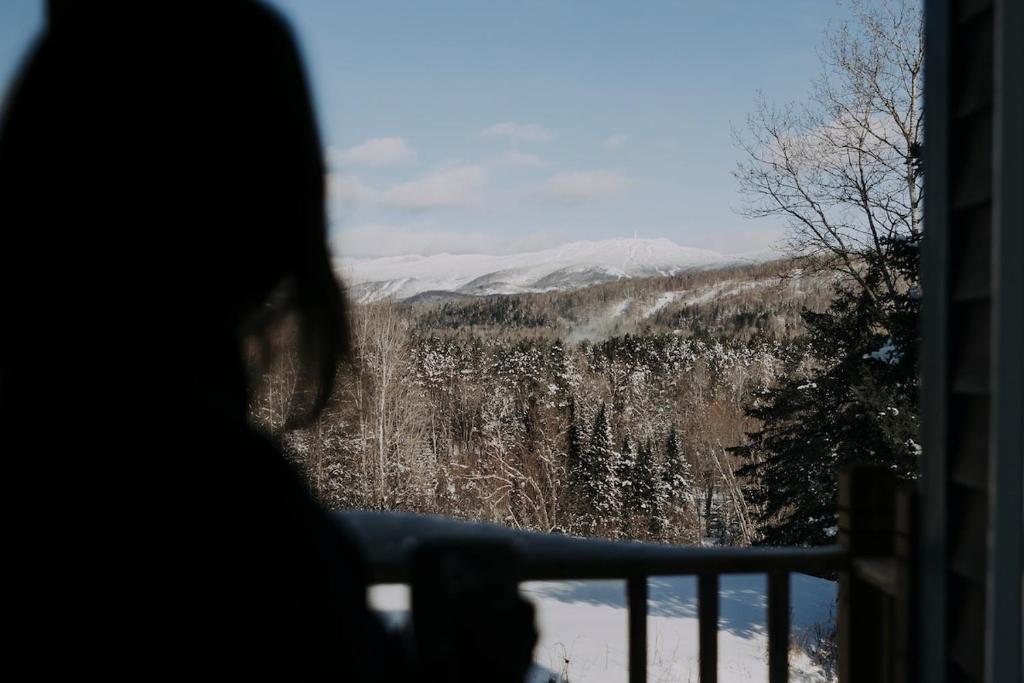 Naturlandskabet i nærheden af lejligheden