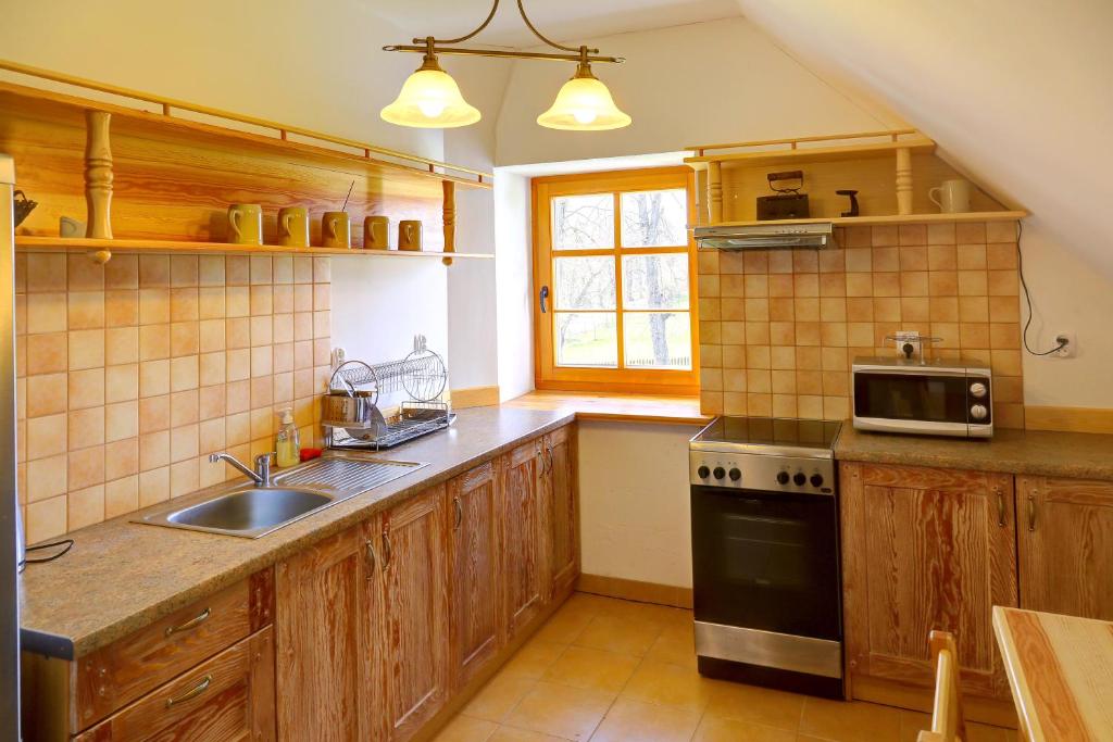 Kuchyňa alebo kuchynka v ubytovaní Apartament w Muzeum Michała Kajki