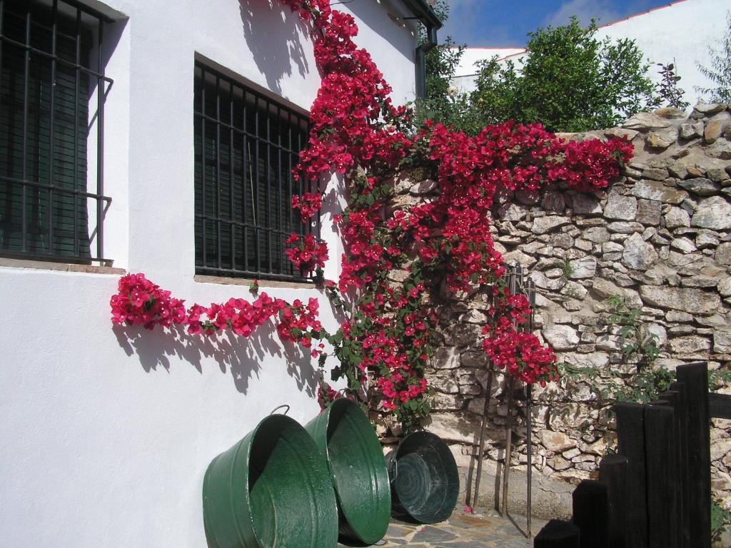un ramo de flores rojas en una pared de piedra en Casa Rural y Restaurante Casa Adriano en Alanís