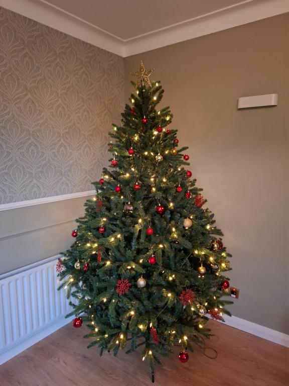 Billede fra billedgalleriet på Fjell2Sea i Newcastle