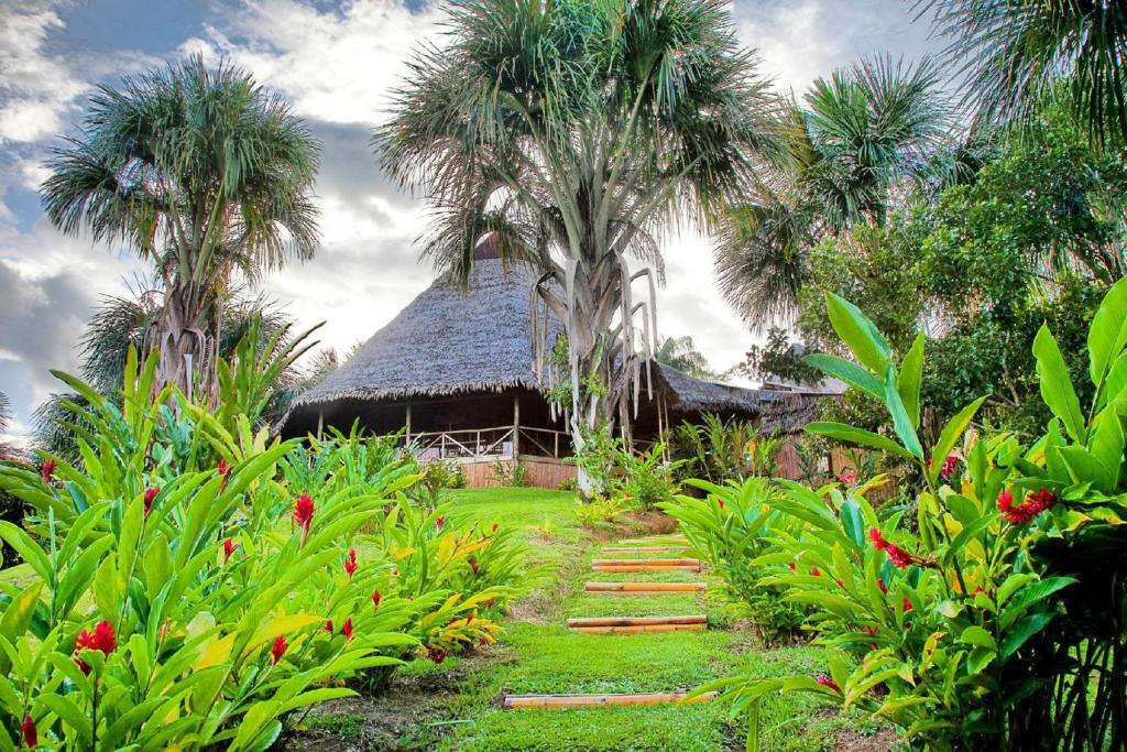 Zahrada ubytování Pacaya Samiria Amazon Lodge - ALL INCLUSIVE