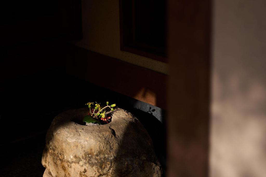 Vergrößerte Ansicht