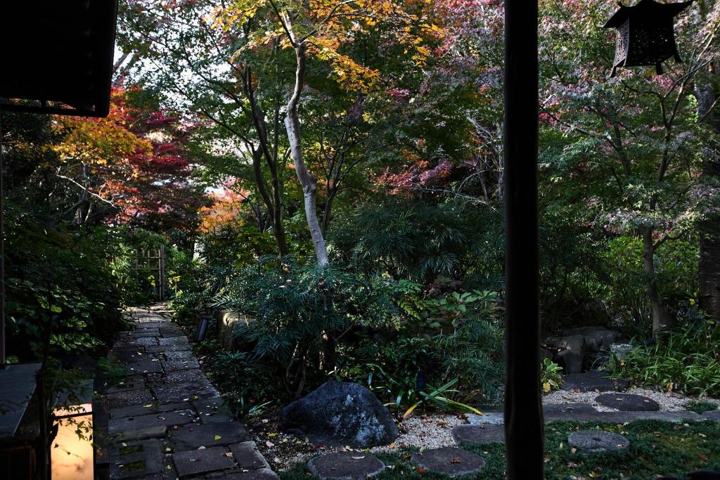 Vergrößerte Ansicht