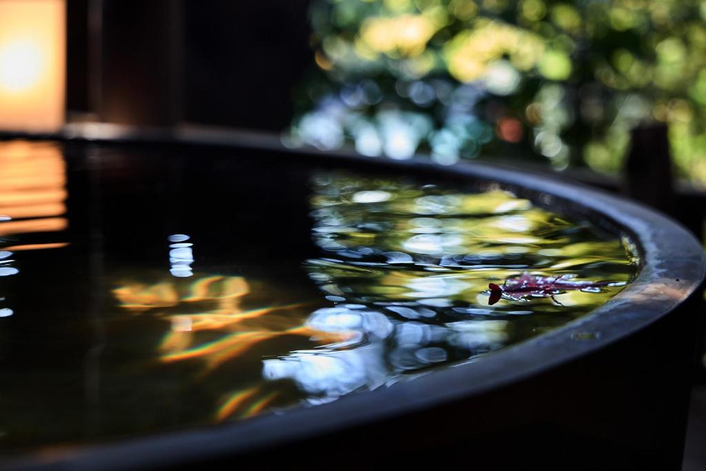 Vergrößerte Ansicht