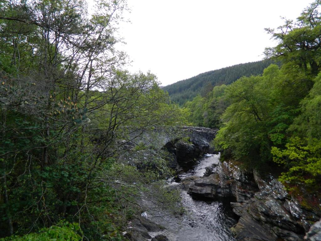 a river with rocks and trees on the side at Forest Glen Holiday Park in Invermoriston