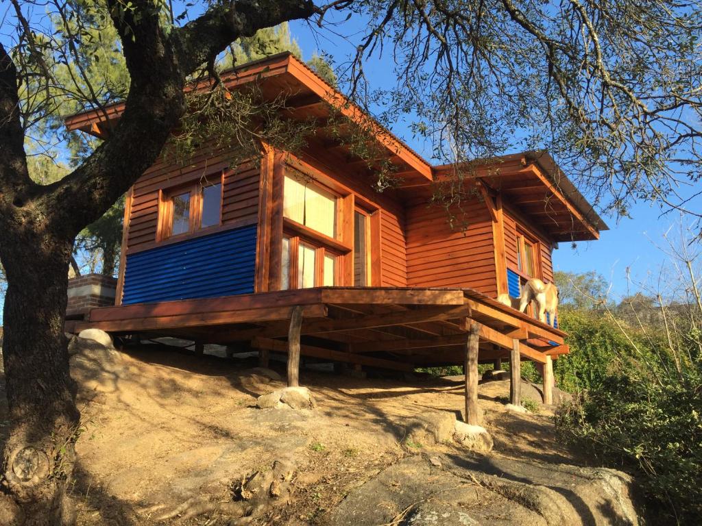 a wooden house sitting on top of a tree at Cielo de Piedra. Cabañas y Petit Hotel in Tanti