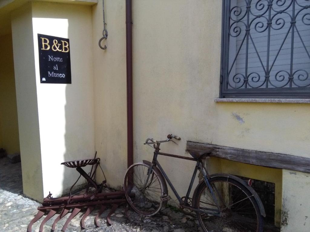 Jízda na kole v ubytování B&B Notte Al Museo nebo okolí