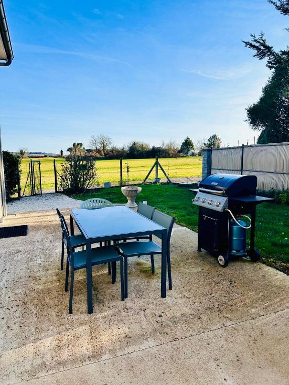 a picnic table and a grill in a backyard at L Escapade Rurale in Usseau