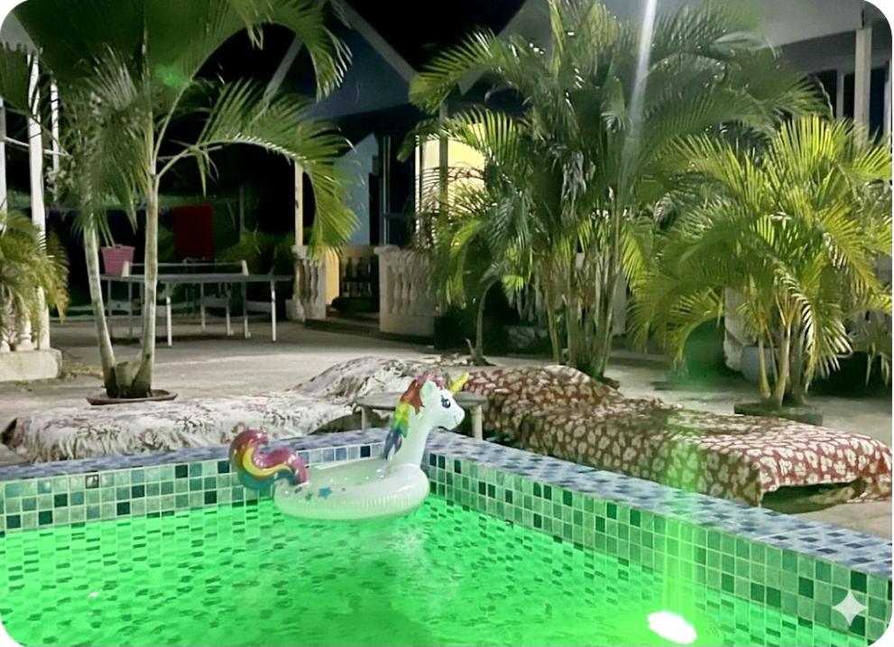 贡布Orchid bokor family guest house的一个玩具游泳池，里面有一个玩具独角兽