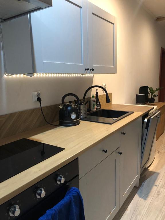 Kuchyň nebo kuchyňský kout v ubytování Apartament Cozy Studio