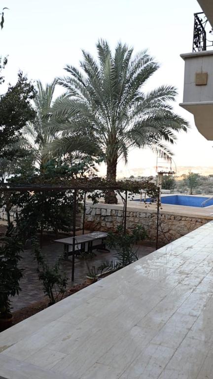 a view of a beach with a picnic table and palm trees at Honey Chalet in Al Khayyām