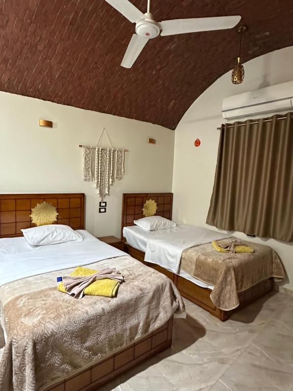 Nubian Soul Guest Houses - 3