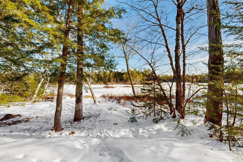 a snowy forest with trees and snow covered ground at Moose’in Around in Bridgton